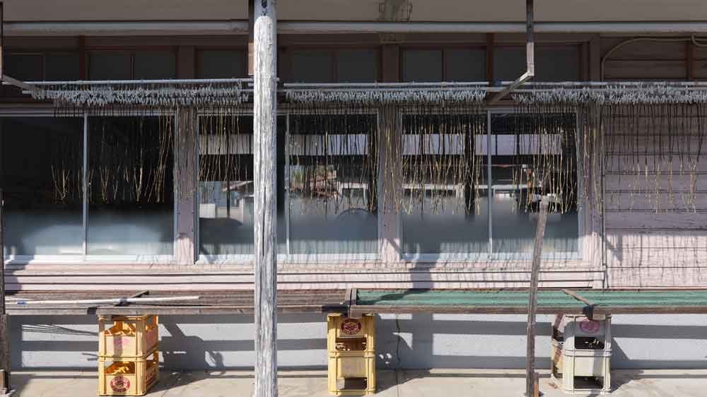 楮の皮を干す様子